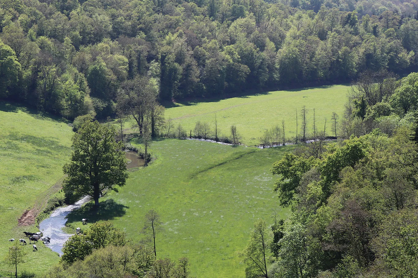 Vall&eacute;e de la Souleuvre