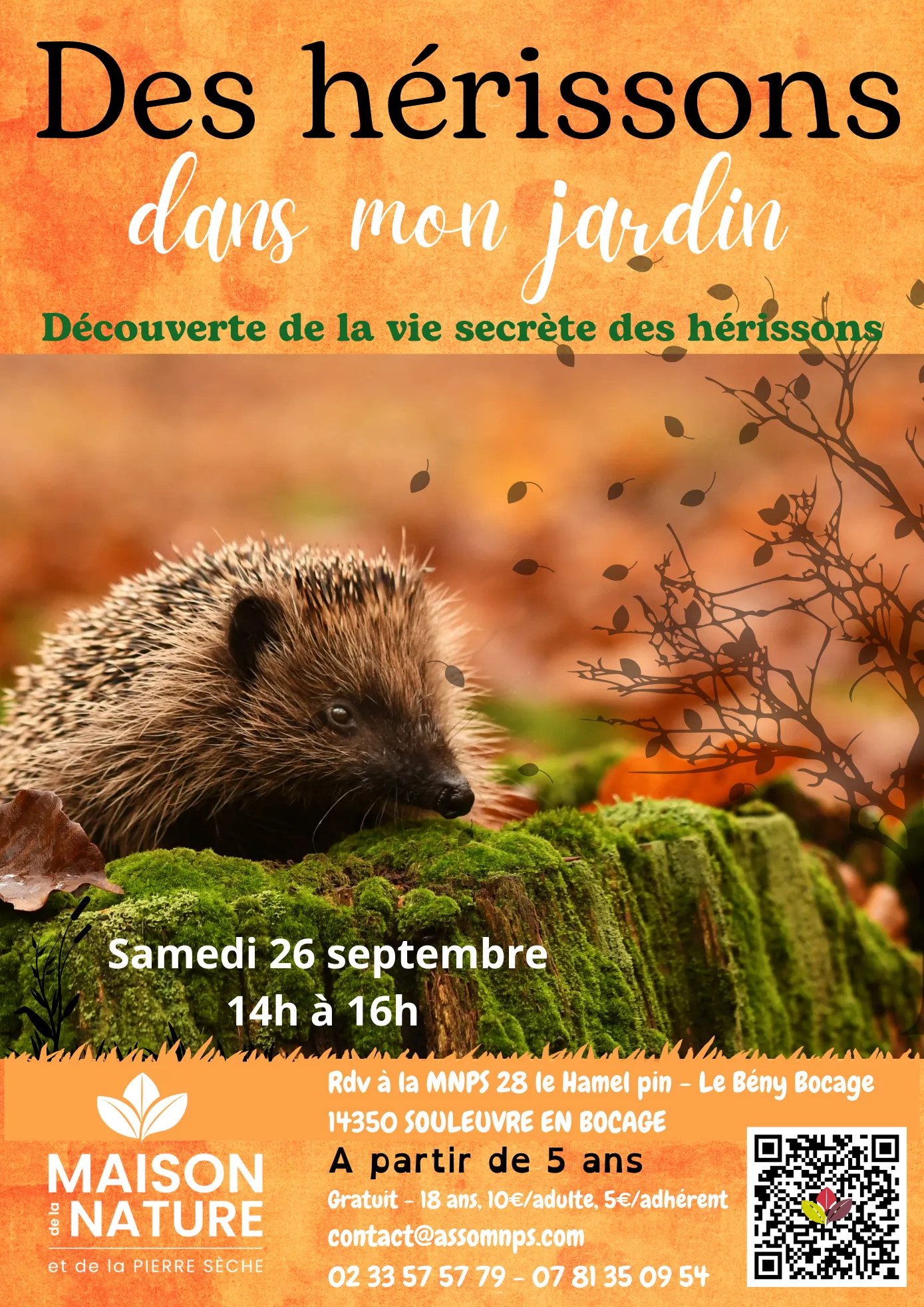 Des hérissons dans mon jardin 26 septembre 2026 2.png