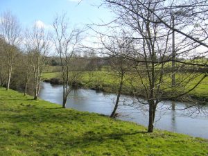carville-31575-la-vire