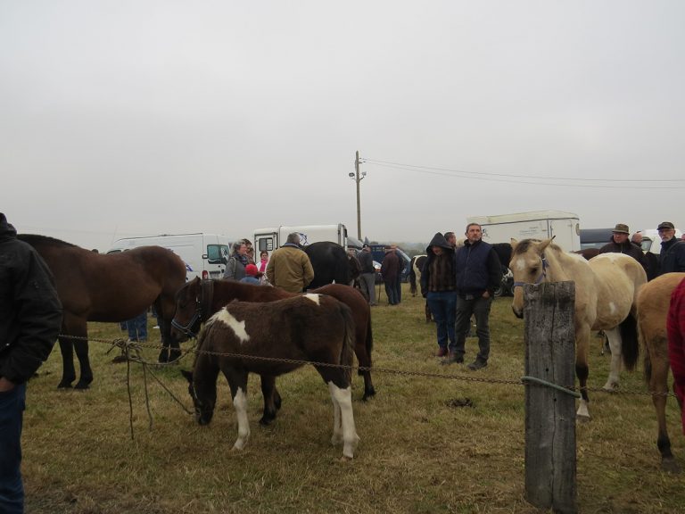 foire-etouvy-site